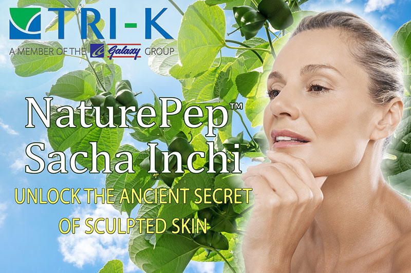 Natural peptide to restructure and contour skin for a firmer, more sculpted face