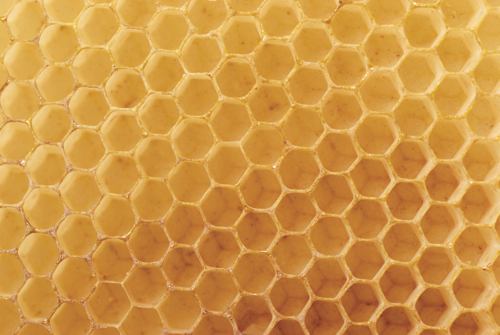 Natural waxes