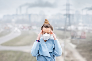 New anti-pollution in vivo and in vitro tests