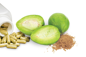 New application: Synastol TC (Terminalia Chebula Fruit Extract) now available as a nutritional supplement