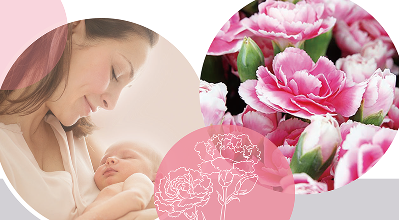 New cosmetic ingredient "BabyColla" launched