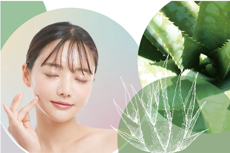 New cosmetic ingredient "Fermentage ALOEVERA" launched