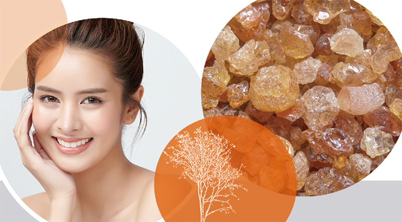 New cosmetic ingredient VeganProteoglycan launched
