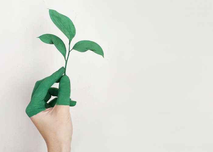 New digital tool to help beauty brands become more sustainable launches
