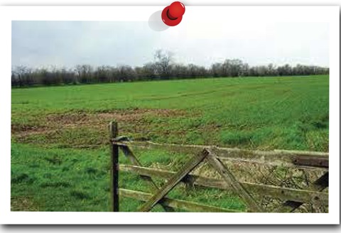 New Land Acquired...