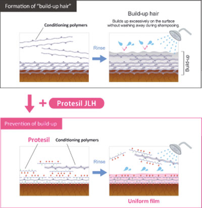New Launch: Protesil™ JLH protein hybrid polymer for hair Colour retention and “Build-Up-1 Hair” solution