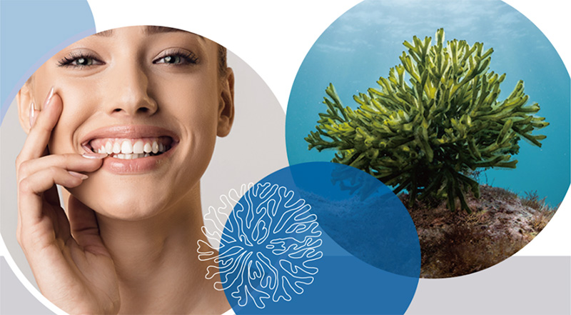New oral care ingredient MILLTECT launched