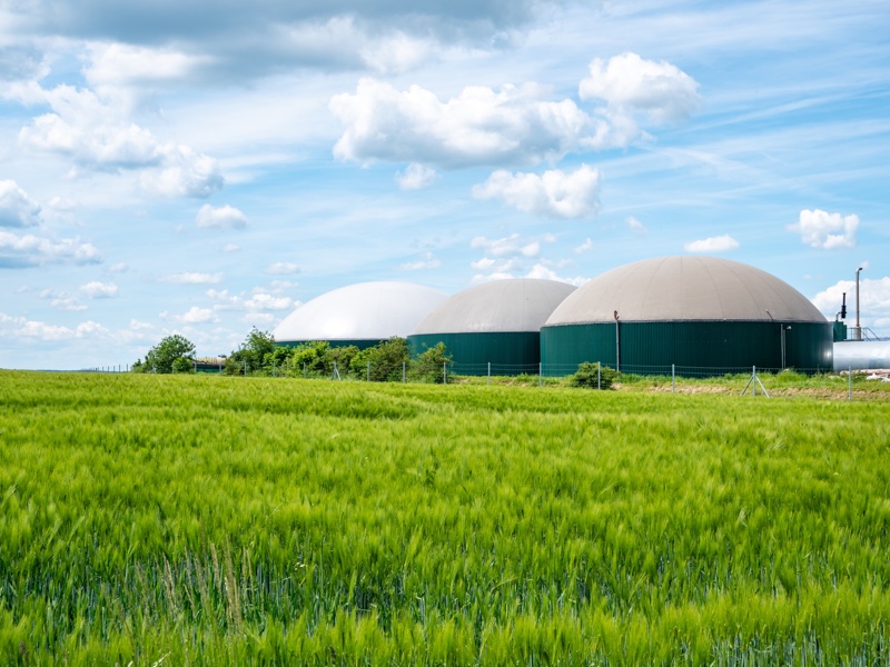 <i>Since January 2022, Beiersdorf’s Production Center in Berlin has exclusively used biomethane produced in Denmark </i>