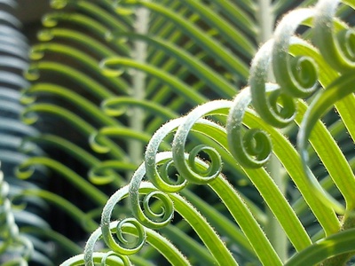 North American Sustainable Cosmetics Summit to incorporate packaging 