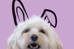 Noughty receives Leaping Bunny certification from Cruelty Free International