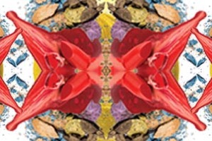 NUCO to show off new ideas at MakeUp in New York