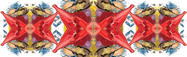 NUCO to show off new ideas at MakeUp in New York