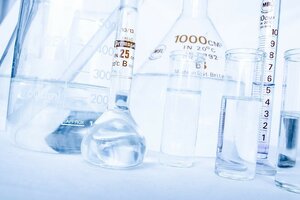 NYSCC postpones Supplier’s Day after state of emergency declared in New York
