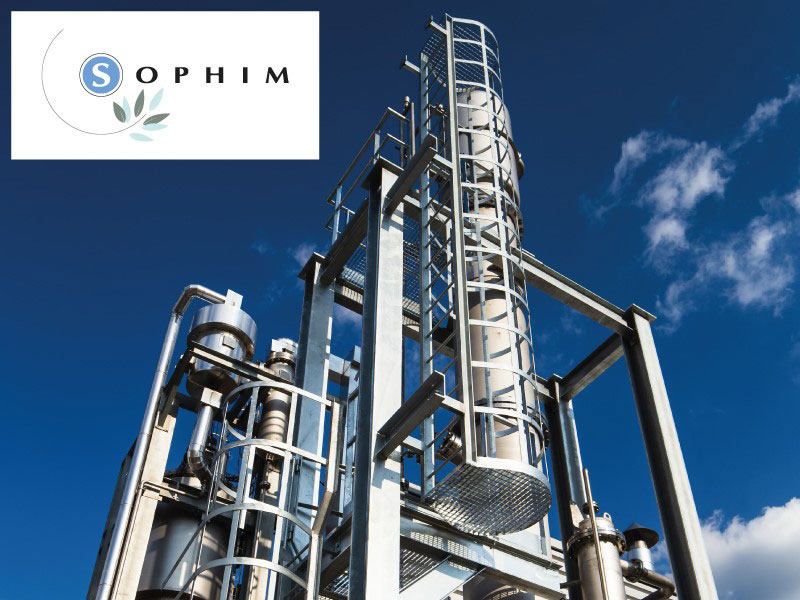 Olive squalane vs synthetic squalane Q&A : exploring key questions