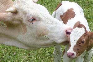 One in six consumers are switching to animal-free skin care this Veganuary
