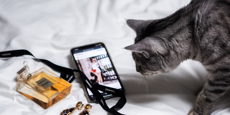Online shopping trends 2023: Realinfluencers, hair texture filters and bespoke skin care