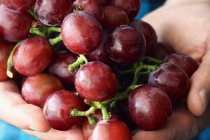 Organic beauty market flourishes with sales of over £147m in 2022