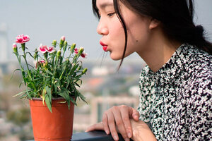 Organic beauty: Putting an end to greenwashing