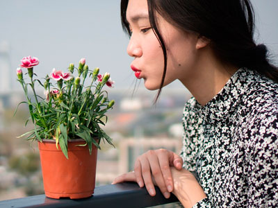 Organic beauty: Putting an end to greenwashing
