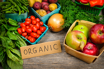Organic ingredients lead growth for US make-up market 