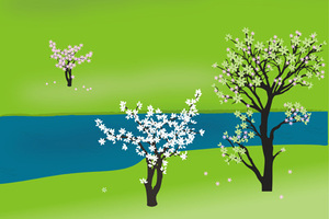Organics and sustainability – positive action