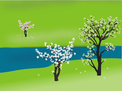 Organics and sustainability – positive action