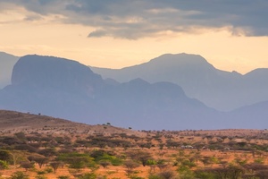Out of Africa: The continent that's home to beauty's favourite ingredients