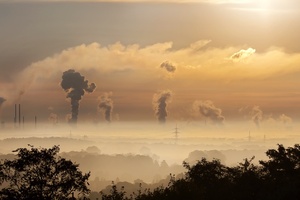 P&G among seven global companies collaborating on net zero ambitions
