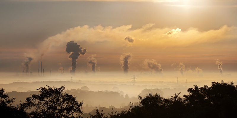 P&G among seven global companies collaborating on net zero ambitions

