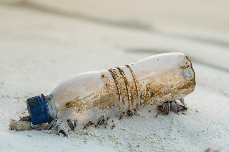 P&G and Henkel join global brands to wage war on ocean plastic waste