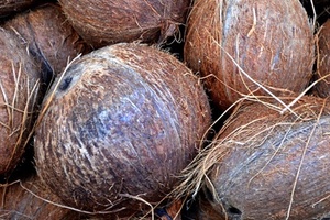 P&G, BASF and Cargill put support behind coconut farmers to boost transparency  
