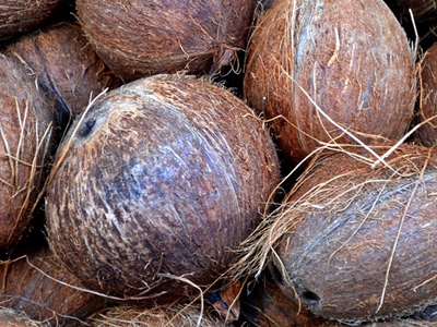 P&G, BASF and Cargill put support behind coconut farmers to boost transparency  
