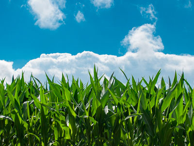 P&G focuses on the future – and it's looking green