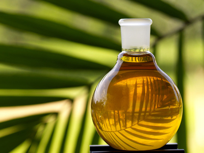 P&G to study sustainable palm oil production