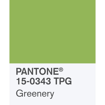 Pantone announces colour of the year 2017