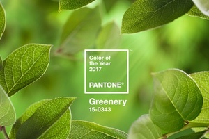Pantone announces colour of the year 2017