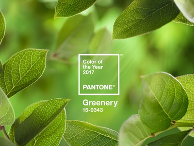 Pantone announces colour of the year 2017