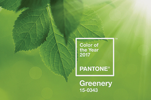 Pantone colour of the year and its impact on cosmetics