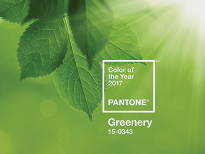 Pantone colour of the year and its impact on cosmetics