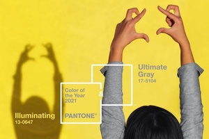 Pantone marries ‘solid’ grey and ‘cheerful’ yellow for 2021 colours of the year  
