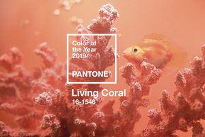 Pantone reveals Living Coral as the colour of the year 2019 