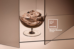 Pantone’s colour of the year 2025 Mocha Mousse faces backlash