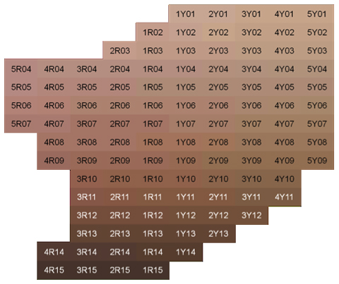PANTONE SkinTone™ Guide