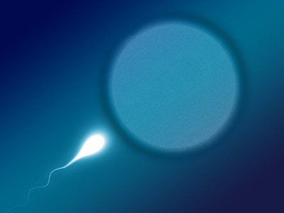 Parabens in cosmetics could damage sperm and fertility 