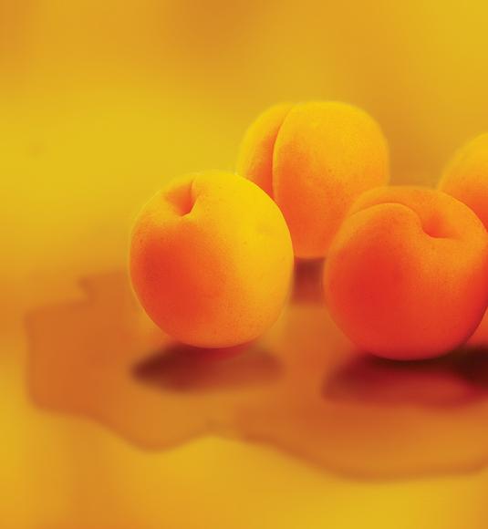 Peach Kernel Oil introduced by Seatons