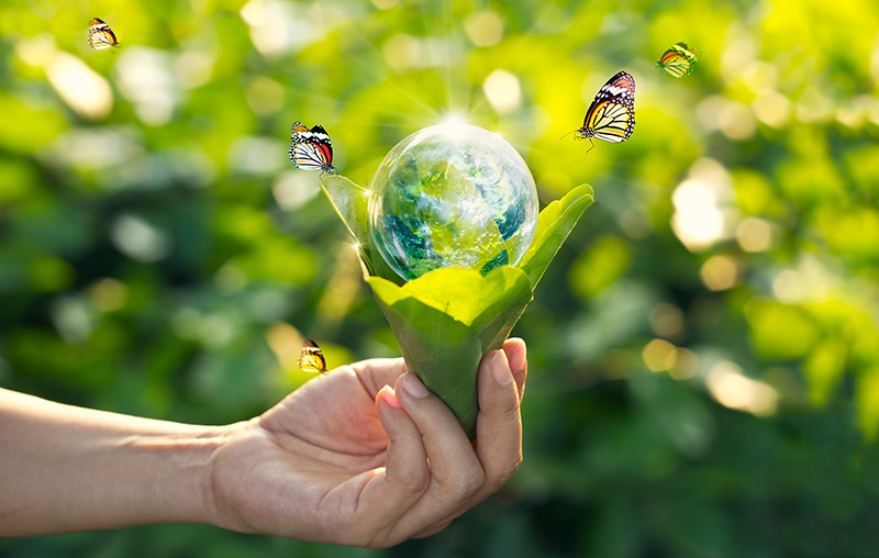 People, planet, profit go hand in hand with Quadpack’s CSR strategy