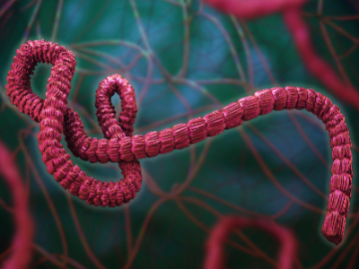 Personal care companies respond to Ebola crisis