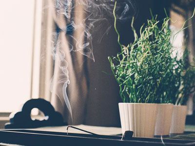 Personal scent experiences could soon become reality
