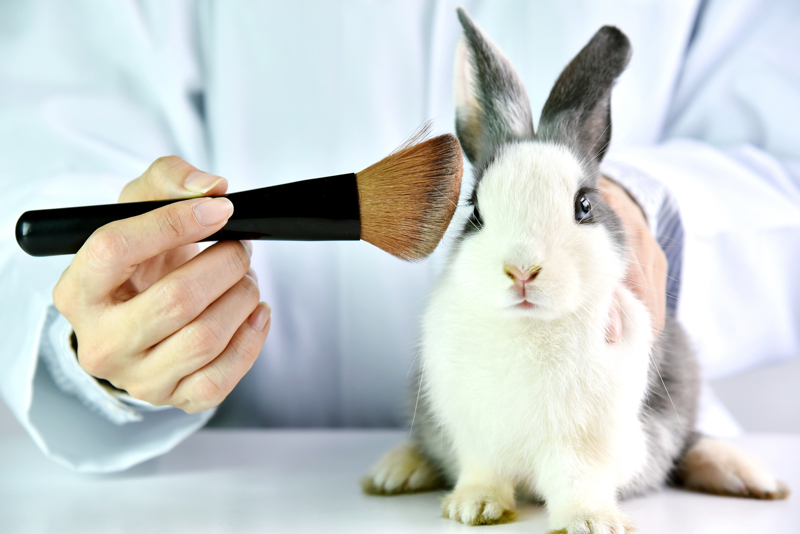 Peta suspends cruelty-free ‘Beauty Without Bunnies’ approval due to EU testing loophole