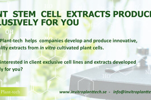 Plant stem cell extracts produced exclusively for you
